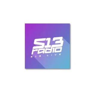 s13